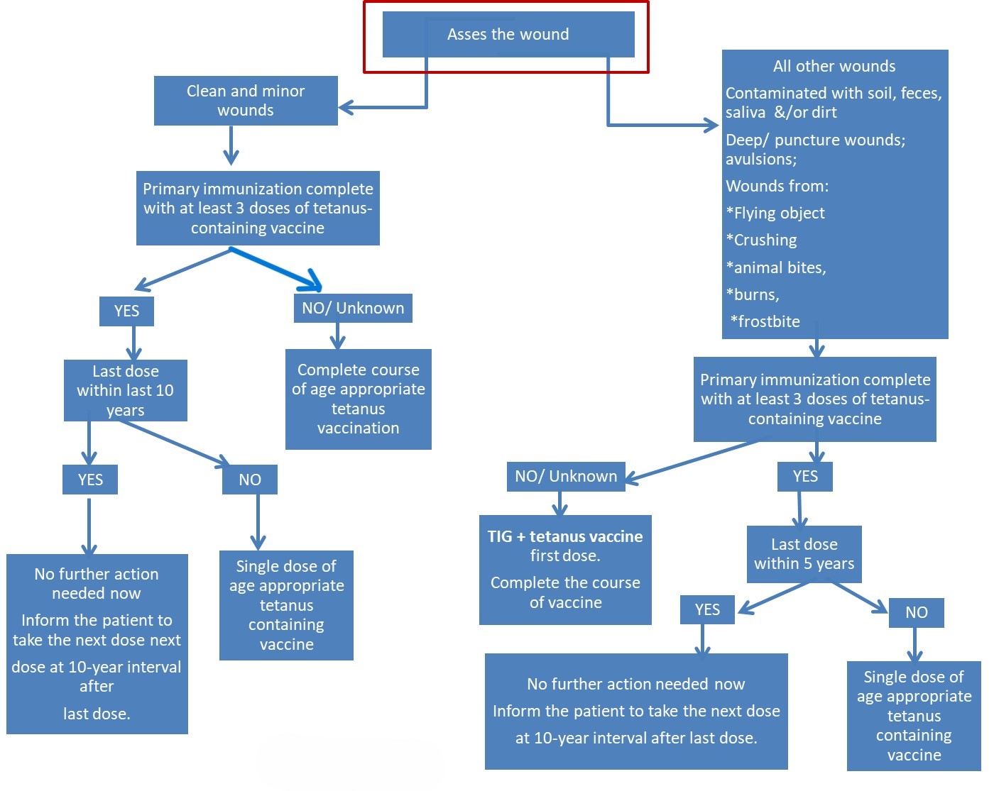 tetanus vaccine algorithm