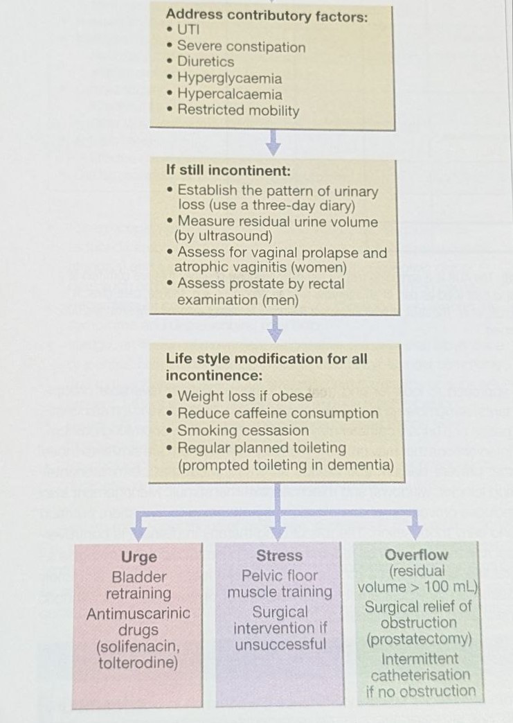 tetanus vaccine algorithm